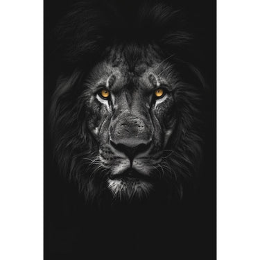 Black Lion Canvas